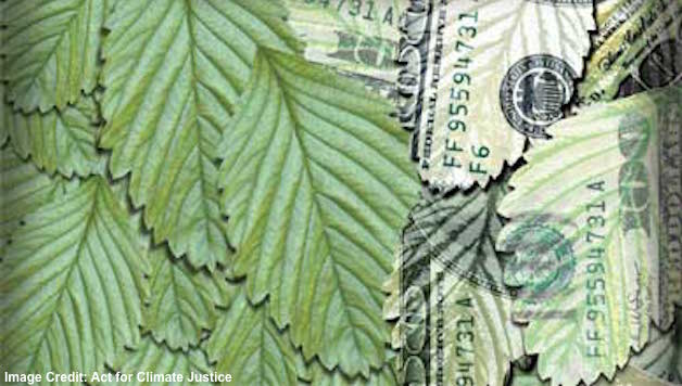 Why Can’t Capitalism Go Green?