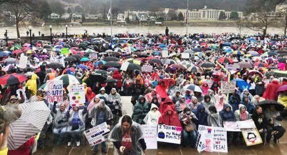 Solidaridad con los profesores y profesoras del estado de Virginia Occidental (EE.UU.)