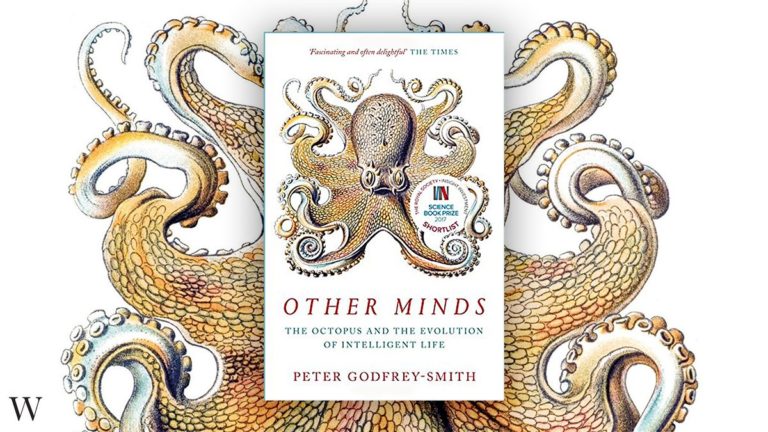 La conciencia del pulpo: Crítica de Otras mentes. El pulpo, el mar y los profundos orígenes de la consciencia, de Peter Godfrey-Smith