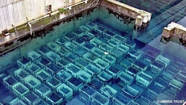 Nuclear Waste: A Lethal Legacy