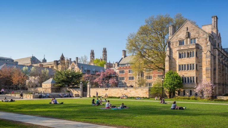 College Admissions Scandal: The Myth of Meritocracy Under Capitalism