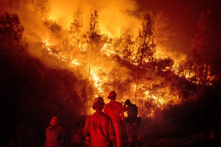 Fight Fire with a Green New Deal