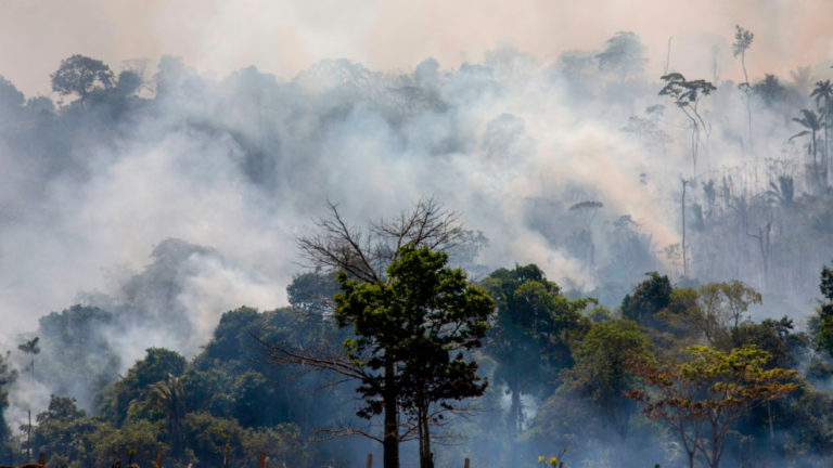 Brazil: Save the Environment, Smash the System!