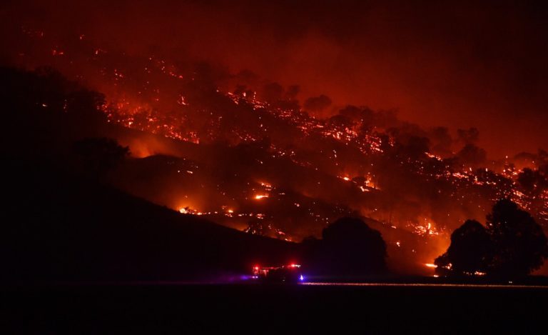 Climate Meltdown & COVID-19: Capitalism is Sick, Working People Pay with their Lives