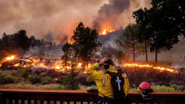 California Wildfires: A Socialist Perspective