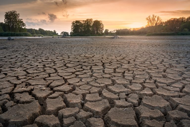 Climate Change: The Devastating Prospects of Increasing Prolonged Droughts