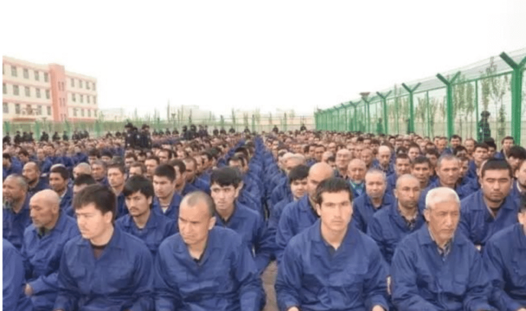 On Xinjiang and the Falling Uighur Birth Rate: Reply to Pro-Authoritarian “Lefts”