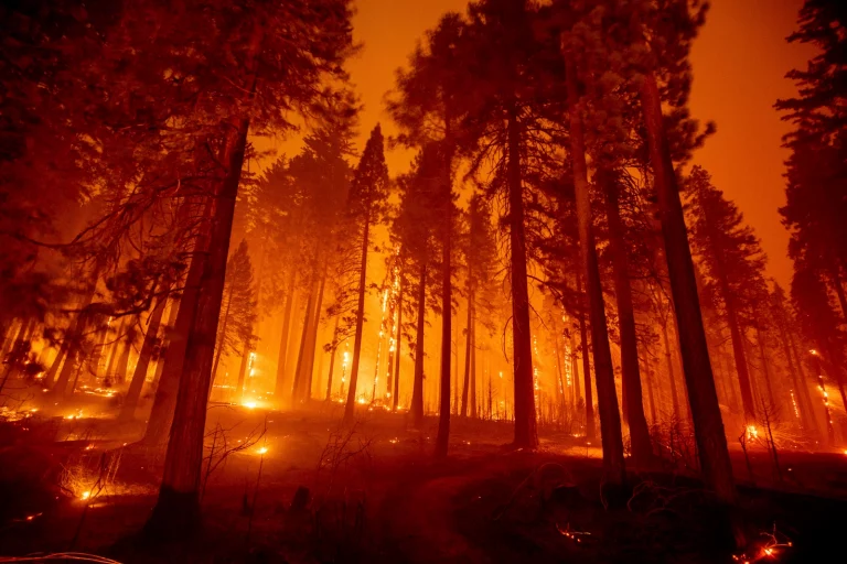 CA Wildfire Insurance Crisis: Corporate Profiteering Hurts Working Families