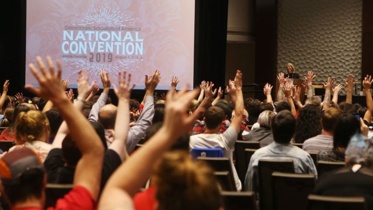 DSA Leadership Dissolves BDS Working Group: DSA in Crisis