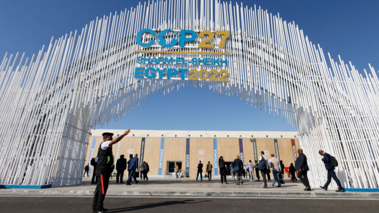 COP27: Burning Daylight (and Fossil Fuels)