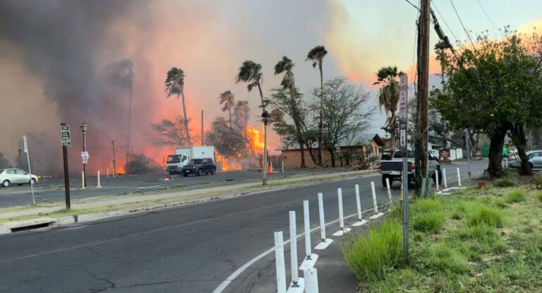 Maui Wildfires: Capitalism’s Climate Crisis Is Scorching The Planet